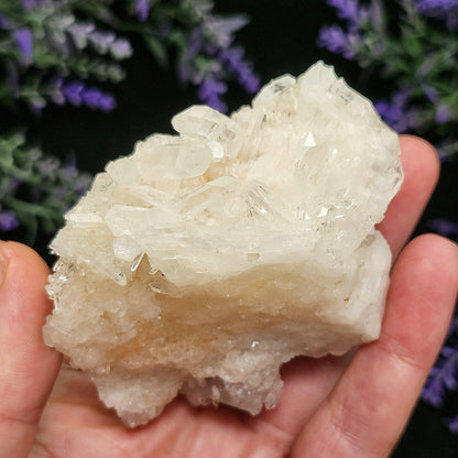 Lemurian Quartz Cluster 170g