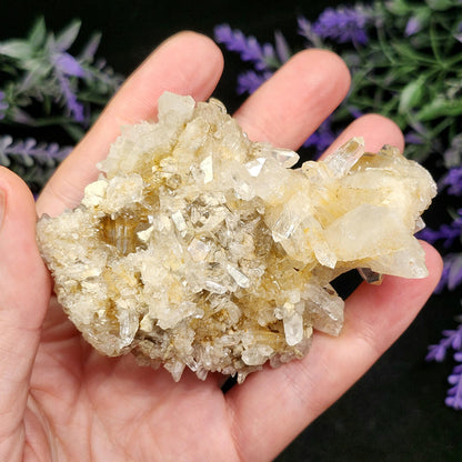 Lemurian Quartz Cluster 102g