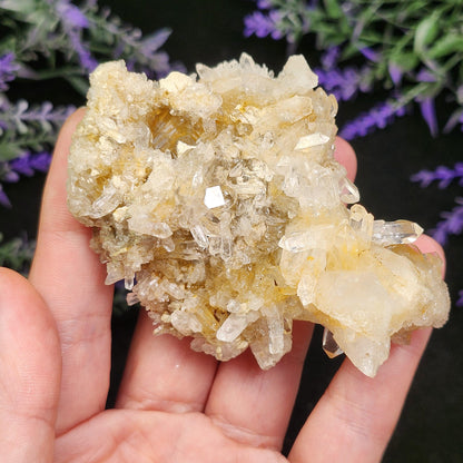 Lemurian Quartz Cluster 102g