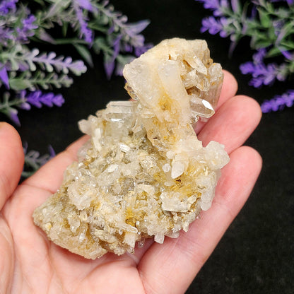 Lemurian Quartz Cluster 102g