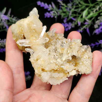 Lemurian Quartz Cluster 102g
