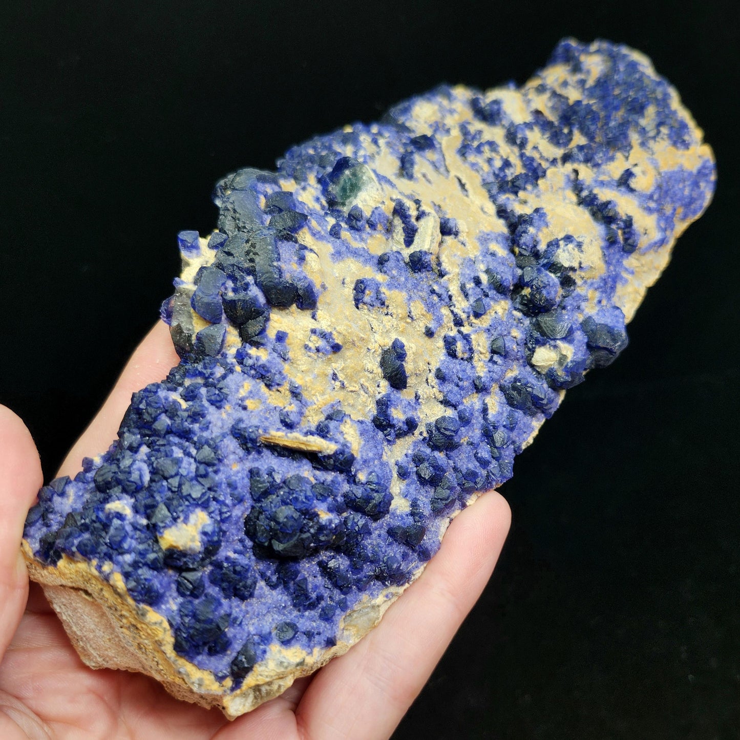 Blue Fluorite Crystal Cluster 1.37 lbs, "Blueberry" Fluorite Crystal Specimen