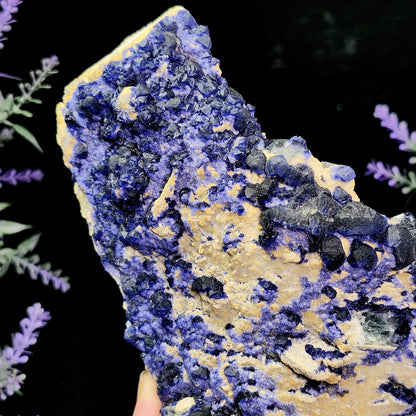 Blue Fluorite Crystal Cluster 1.37 lbs, "Blueberry" Fluorite Crystal Specimen