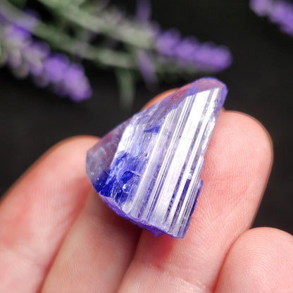 Tanzanite Crystal 6.69g, Bi Colored Raw Tanzanite Stone Specimen