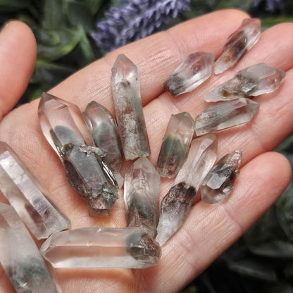 Garden Lemurian Quartz