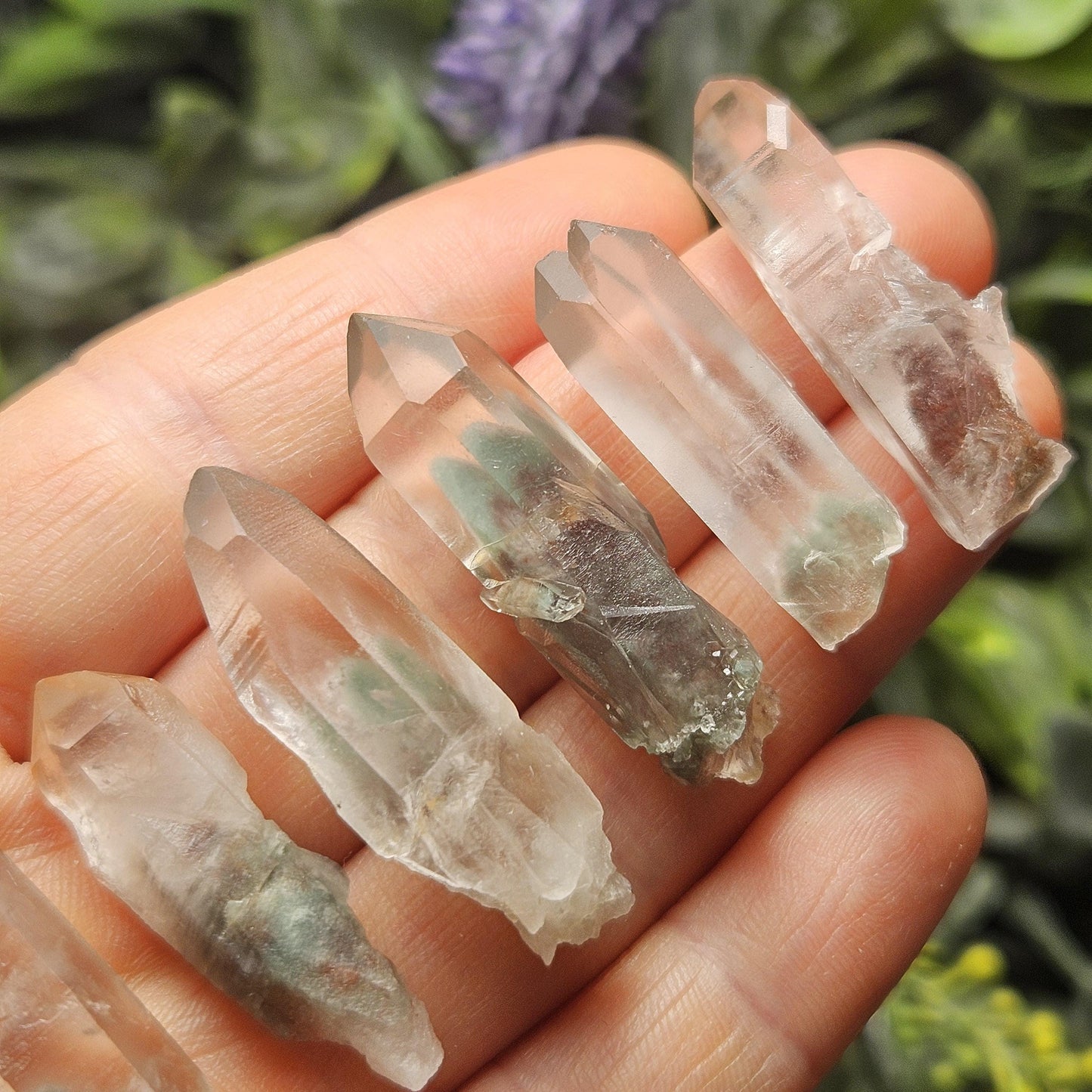 Garden Lemurian Quartz