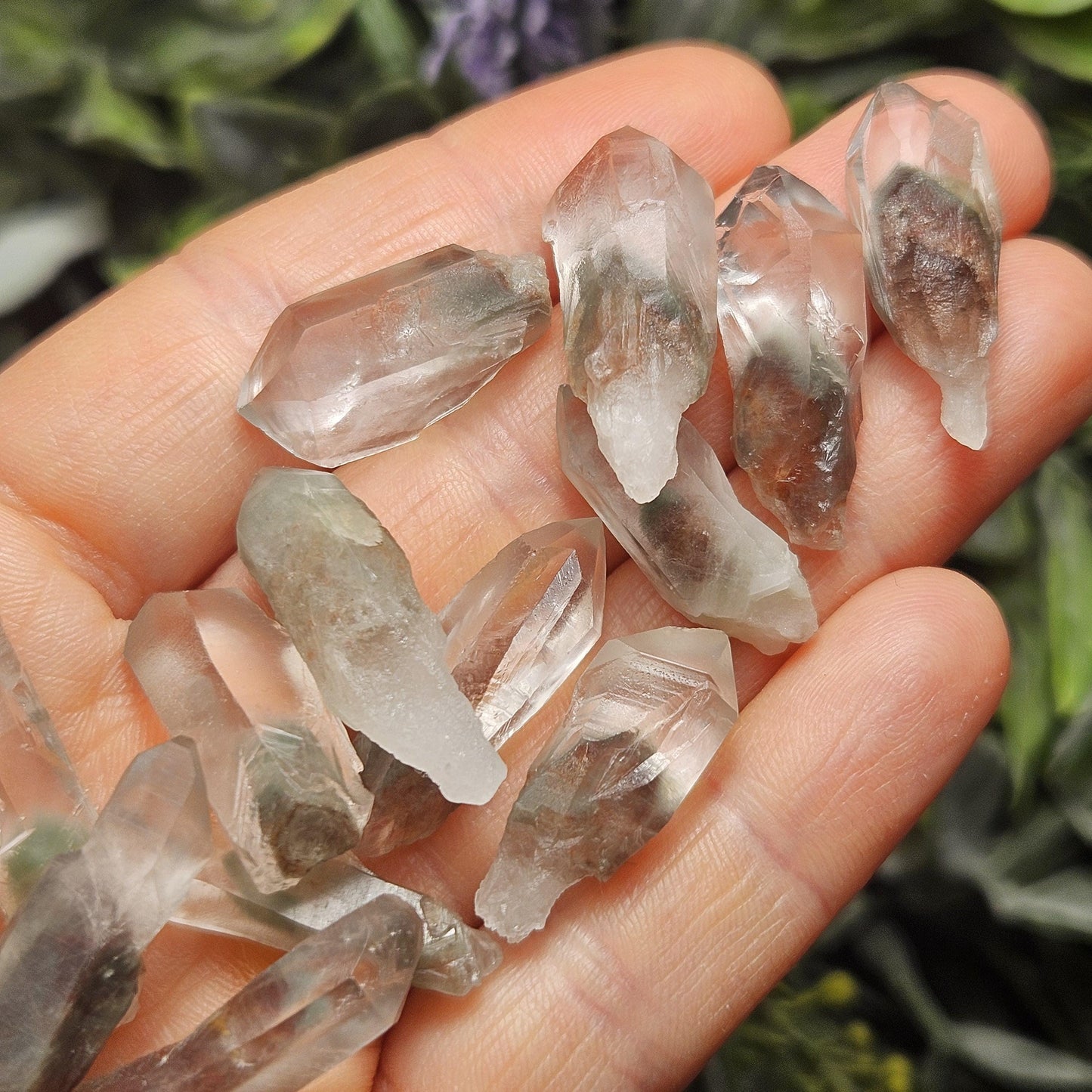 Garden Lemurian Quartz