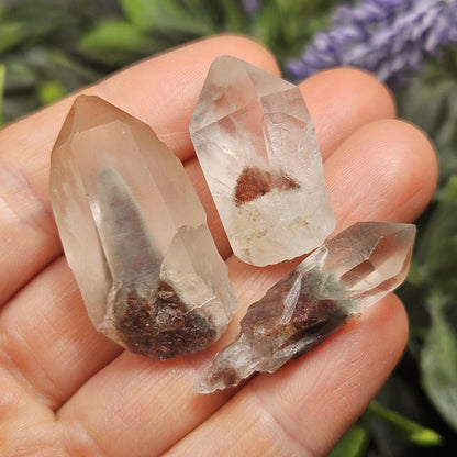 Garden Lemurian Phantom Quartz