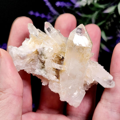 Lemurian Quartz Cluster