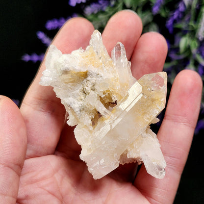 Lemurian Quartz Cluster