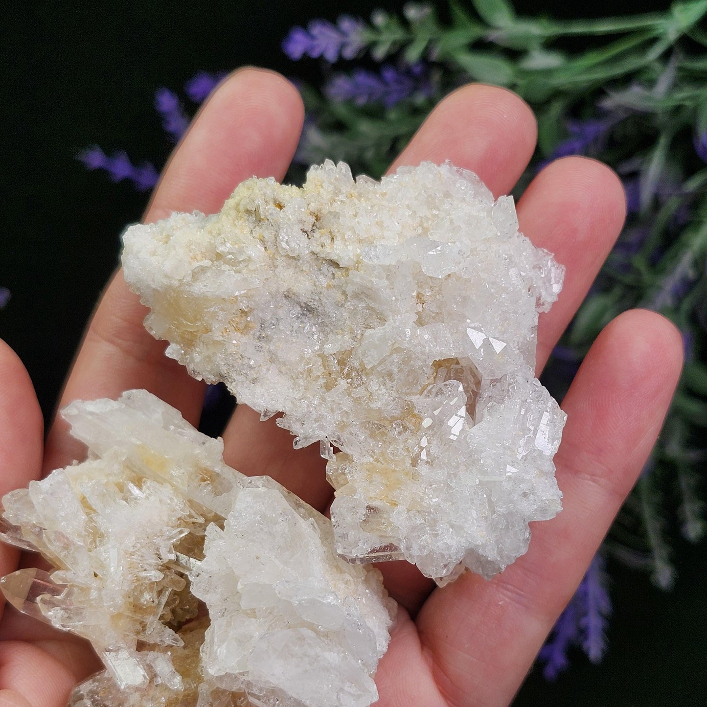 Lemurian Quartz Cluster