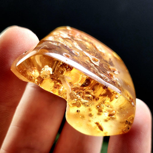 Amber with Bugs & Static ENHYDRO