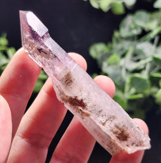 ENHYDRO Shangaan Amethyst