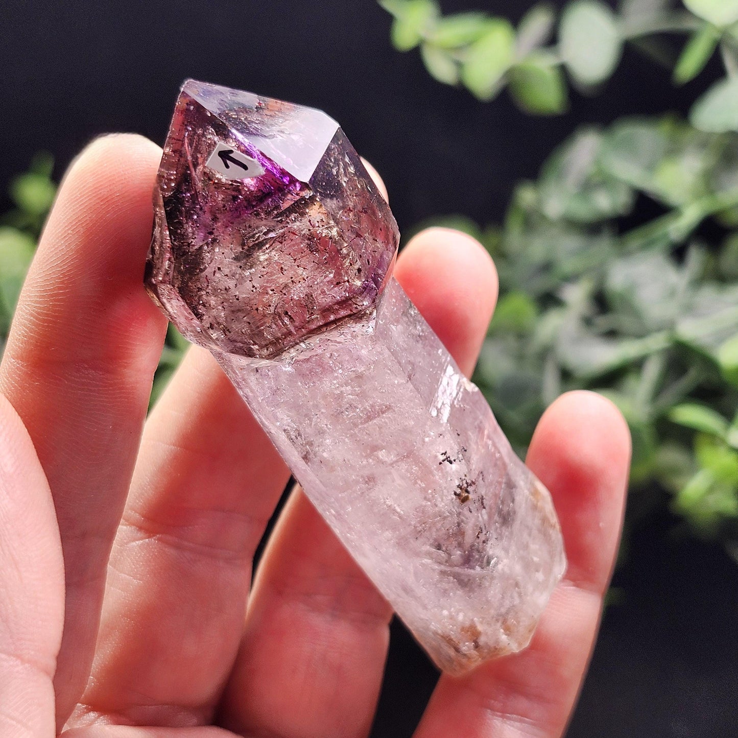 Enhydro Shangaan Scepter Amethyst 53g