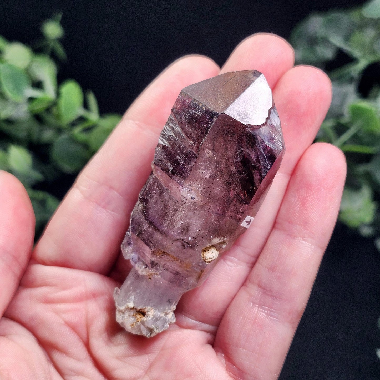 ENHYDRO Shangaan Amethyst 50g (MOVING Enhydro)