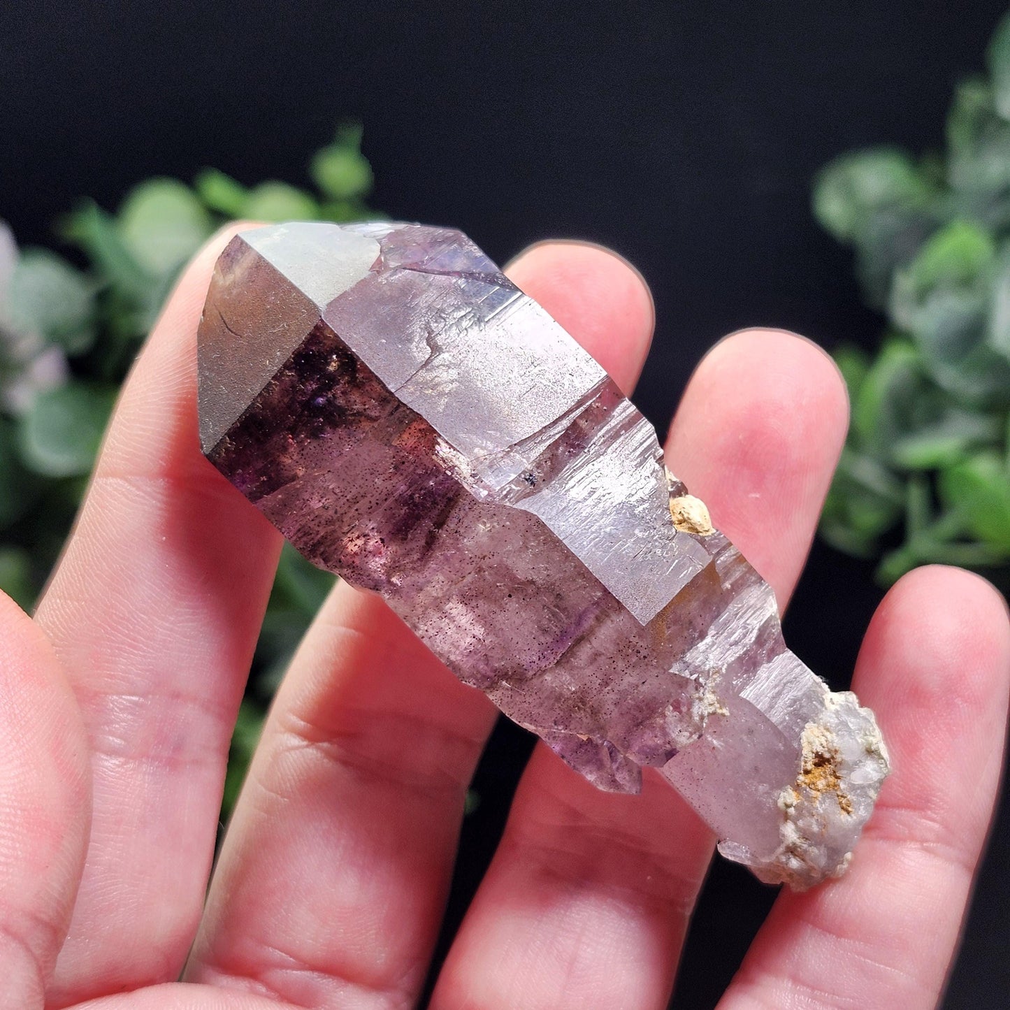 ENHYDRO Shangaan Amethyst 50g (MOVING Enhydro)