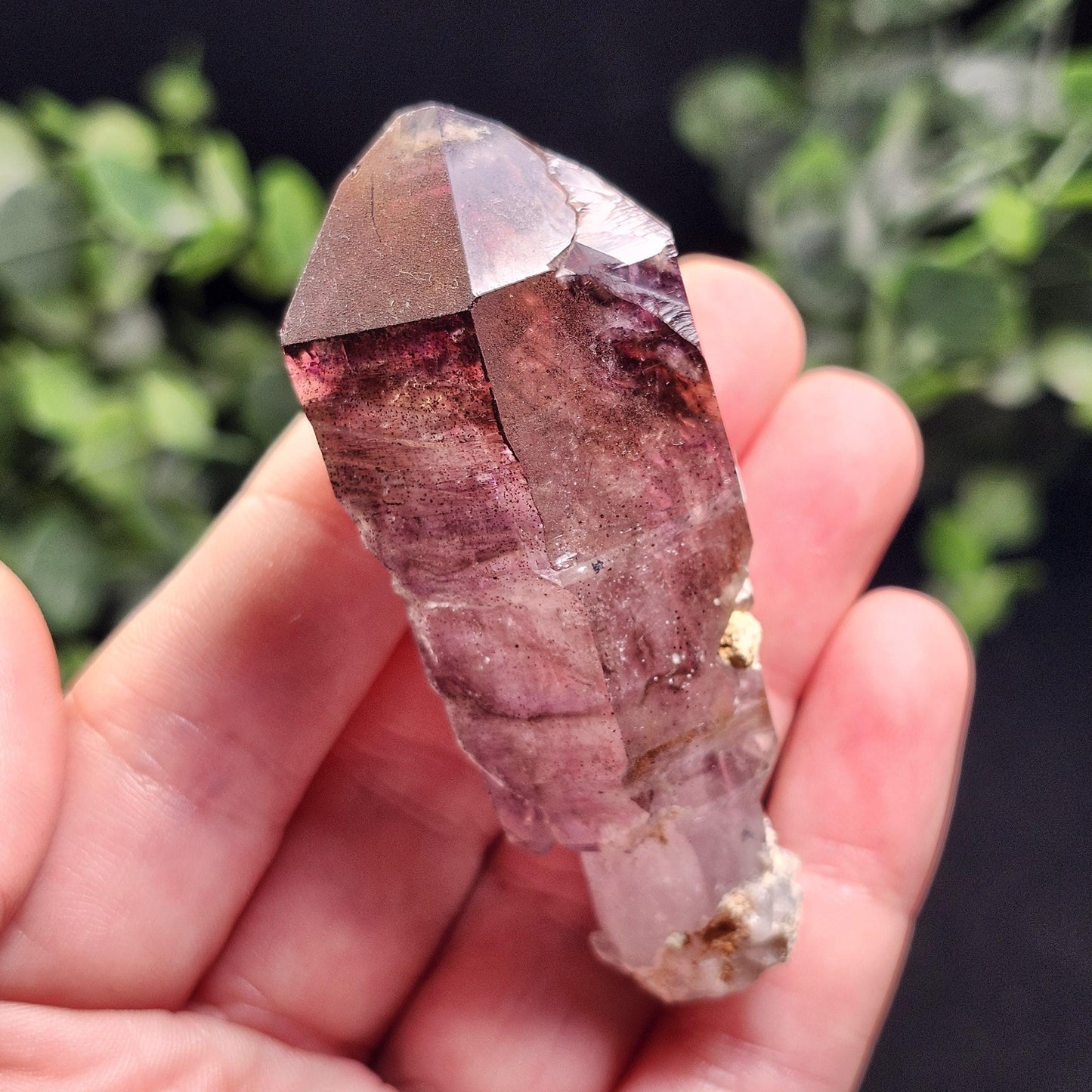 ENHYDRO Shangaan Amethyst 50g (MOVING Enhydro)