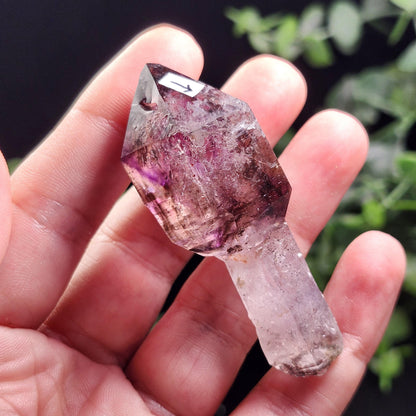 ENHYDRO Shangaan Scepter Amethyst