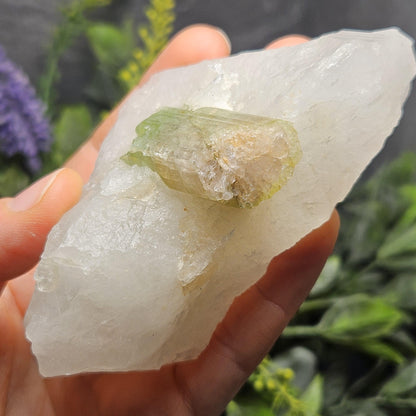 Watermelon Tourmaline & Quartz Crystal 203g