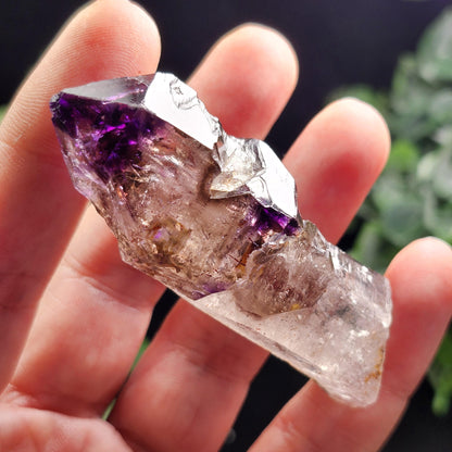 Shangaan Scepter Amethyst Crystal