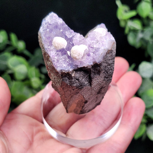 Mordenite Spheres on Amethyst