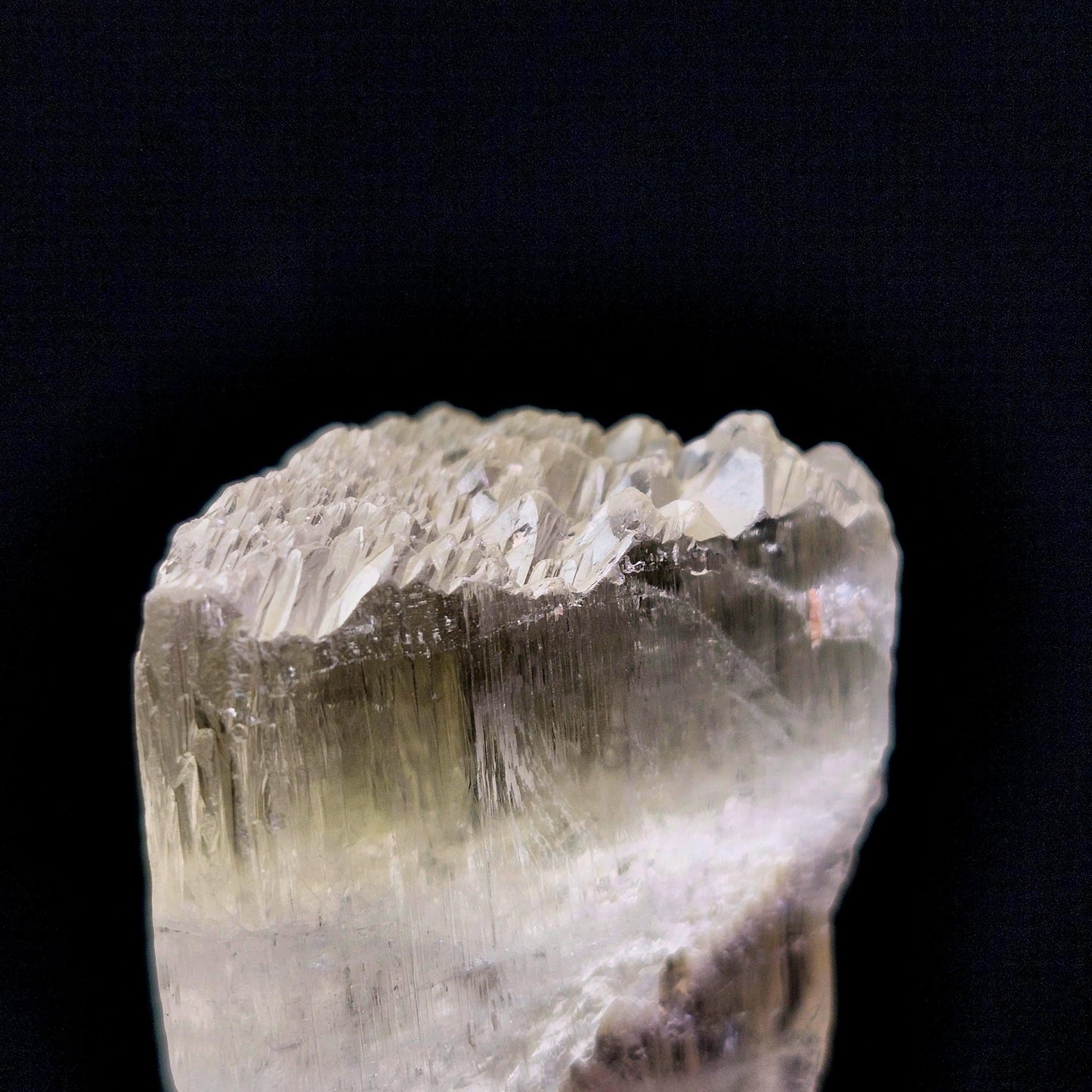 Golden Kunzite Terminated Crystal 24g