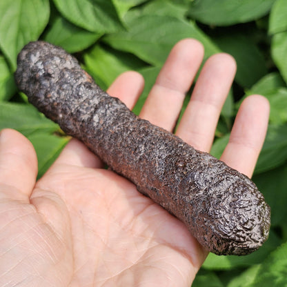 HUGE Angel Chime Prophecy Stone 319g