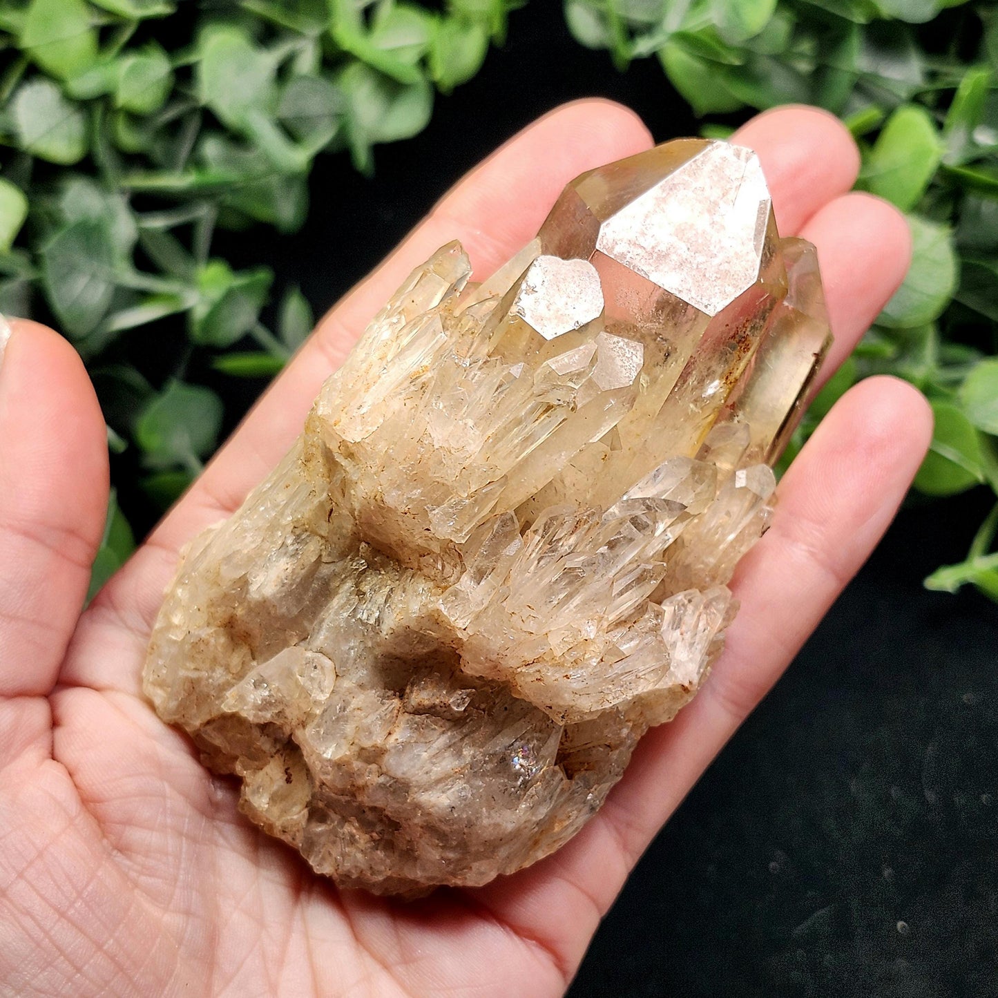 Kundalini Citrine Specimen 222g
