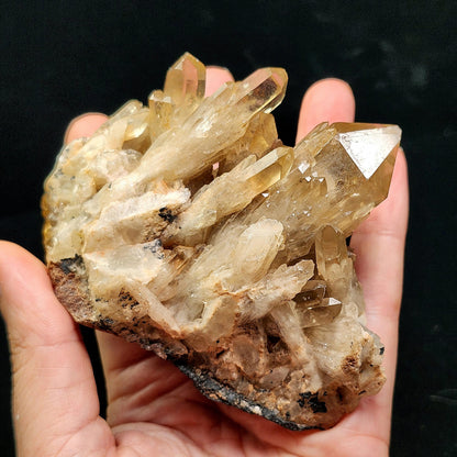 Kundalini Citrine 254g