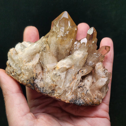 Kundalini Citrine 254g