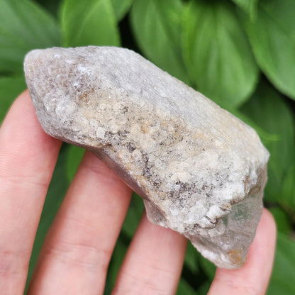 Dreamsicle Pink Lemurian Quartz 91g
