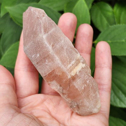 Dreamsicle Pink Lemurian Quartz 133g