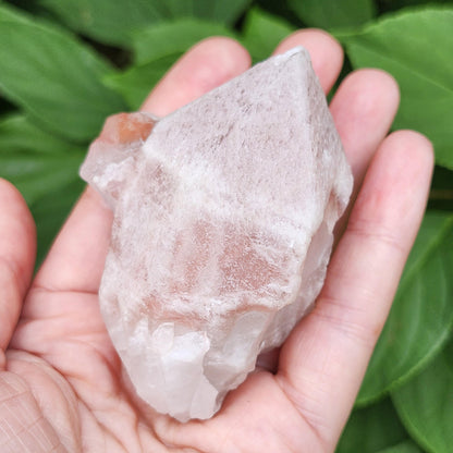 Dreamsicle Pink Lemurian Quartz 158g