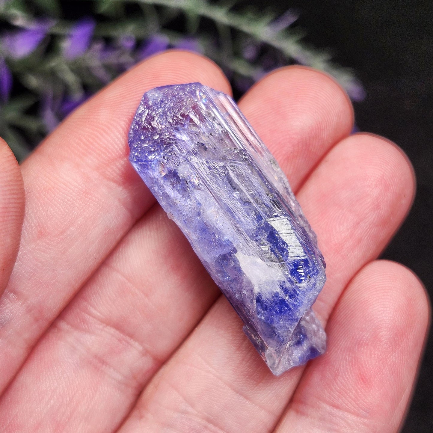 Tanzanite Terminated Crystal 11.2g