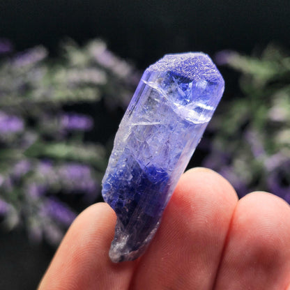 Tanzanite Terminated Crystal 11.2g