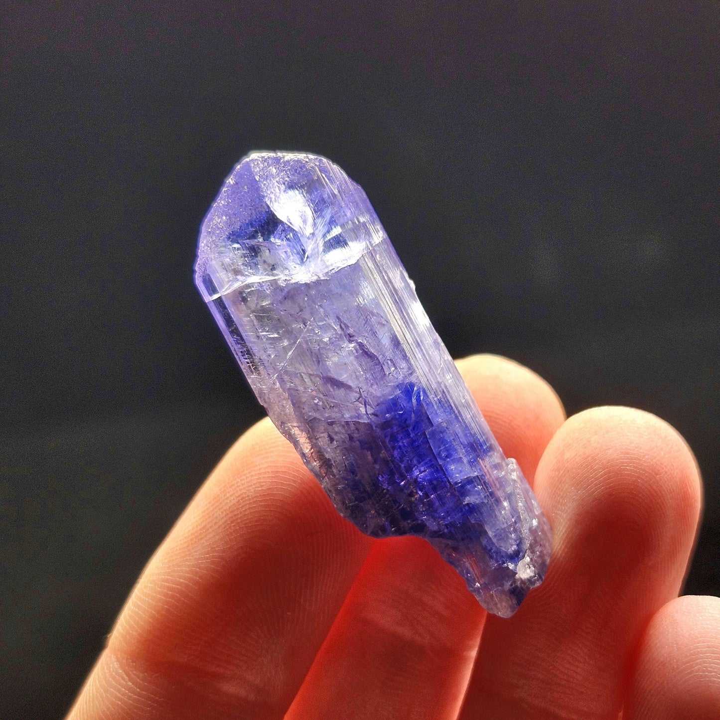 Tanzanite Terminated Crystal 11.2g