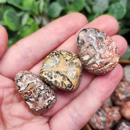Leopard Skin Jasper