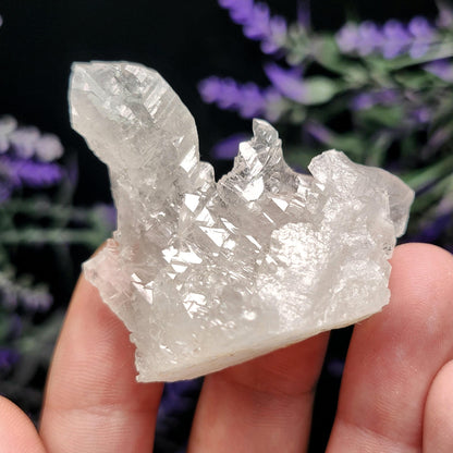 Swiss Alpine Elestial Quartz Crystal 26g