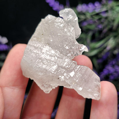 Swiss Alpine Elestial Quartz Crystal 26g