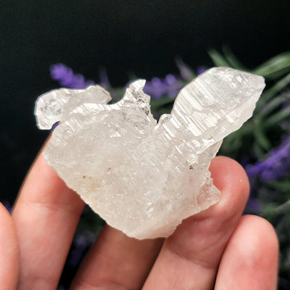 Swiss Alpine Elestial Quartz Crystal 26g