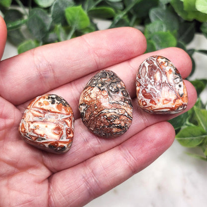 Leopard Skin Jasper
