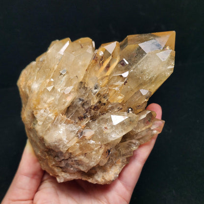HUGE Kundalini Citrine 1.6lb