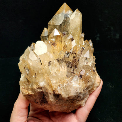 HUGE Kundalini Citrine 1.6lb