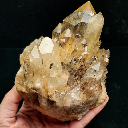 HUGE Kundalini Citrine 1.6lb
