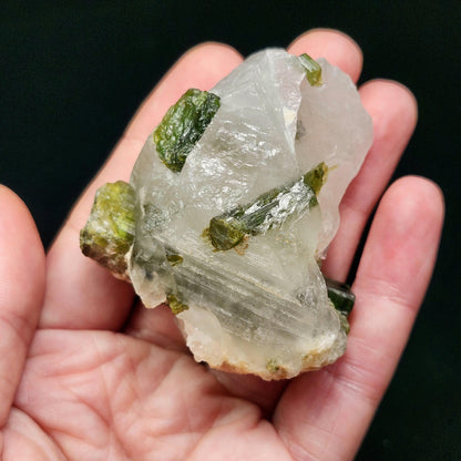 Green Tourmaline Crystal in Quartz (99 grams): Brazilian Tourmaline Specimen
