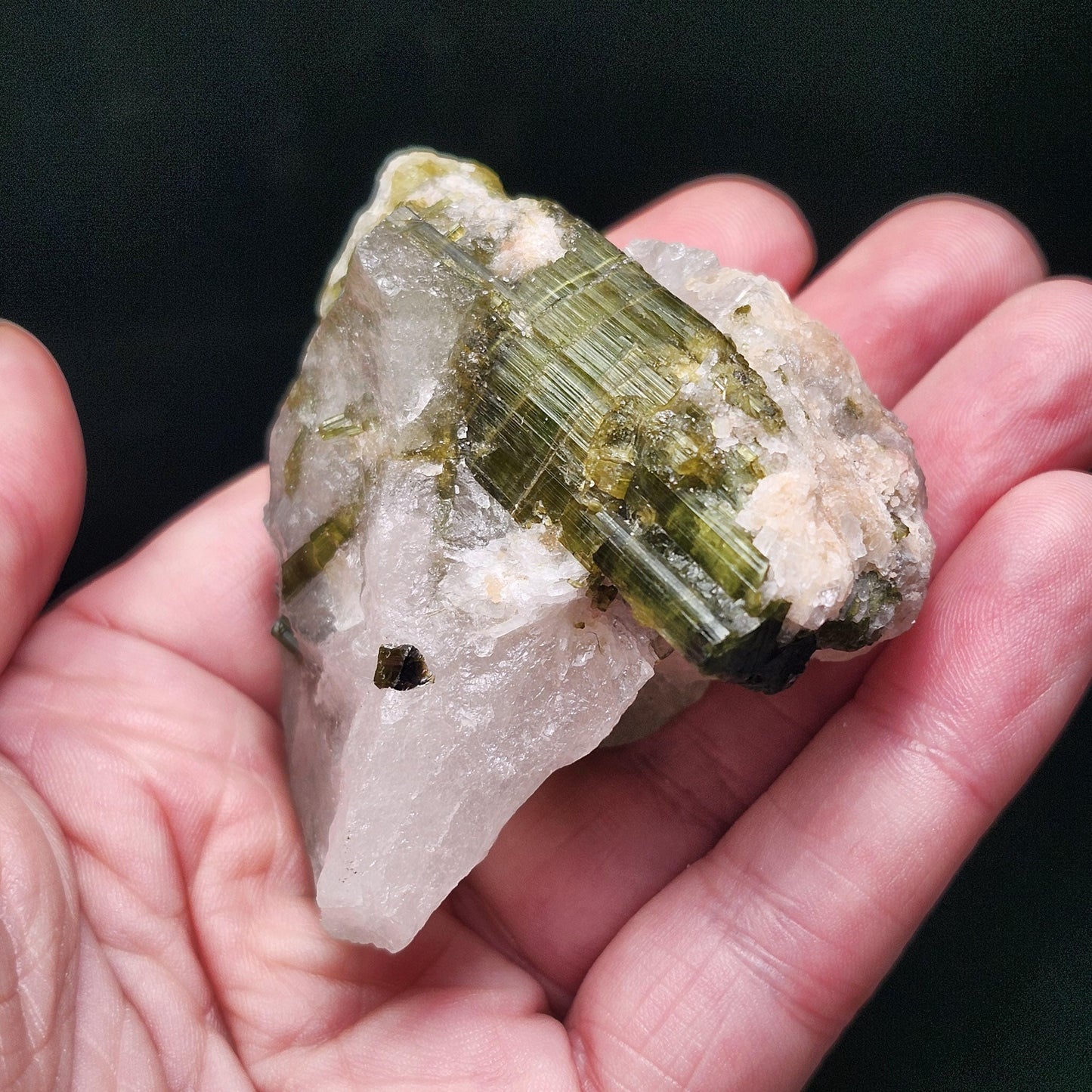 Green Tourmaline Crystal in Quartz (99 grams): Brazilian Tourmaline Specimen