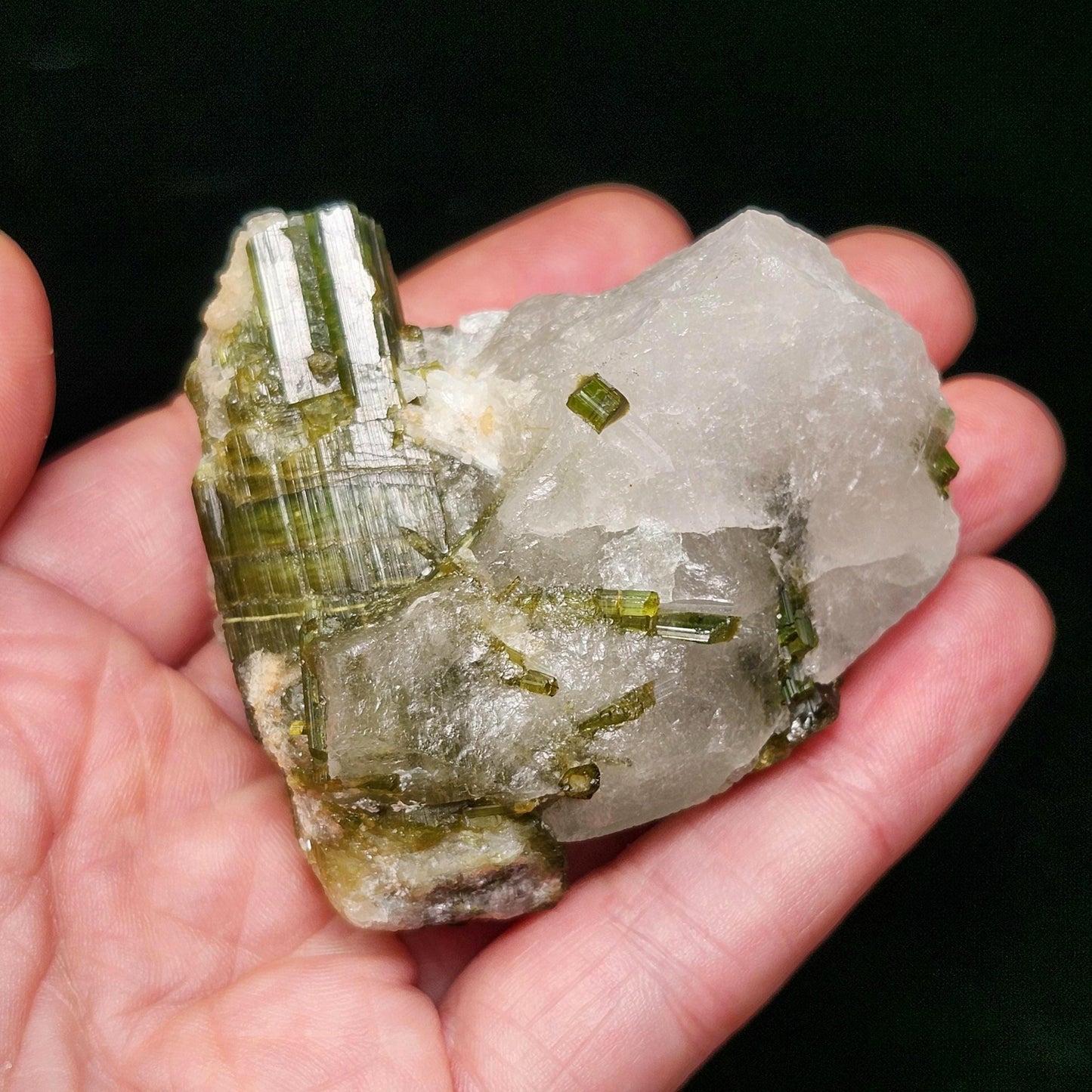 Green Tourmaline Crystal in Quartz (99 grams): Brazilian Tourmaline Specimen