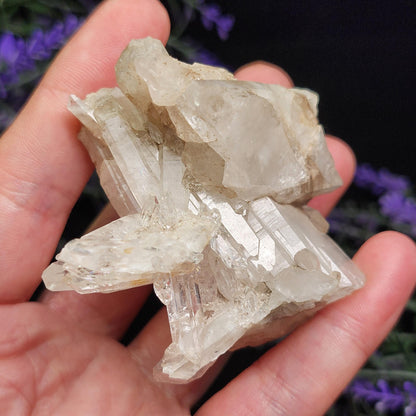 Lemurian Quartz Cluster 120g
