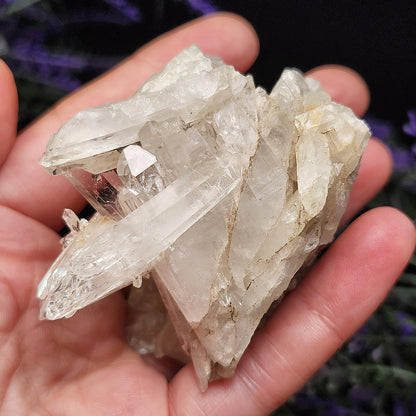 Lemurian Quartz Cluster 120g