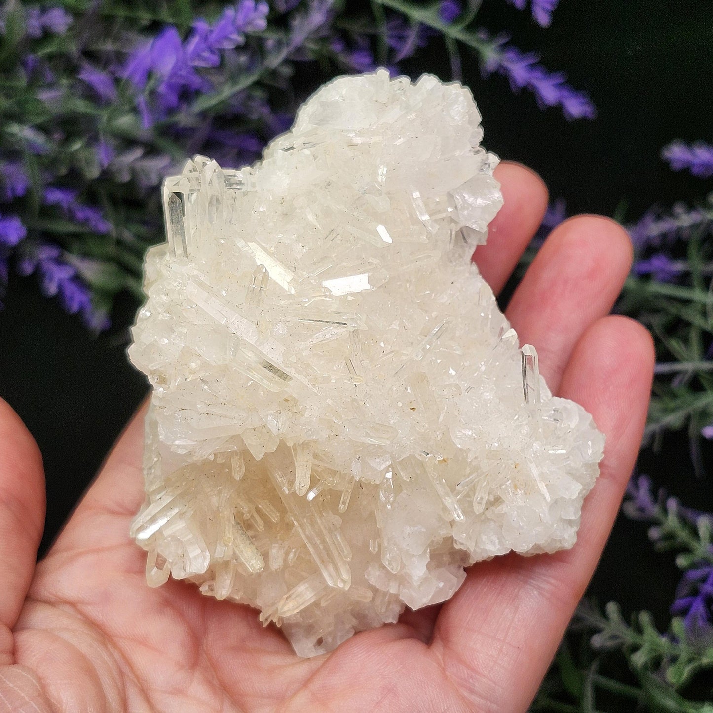 Lemurian Quartz Cluster 205g